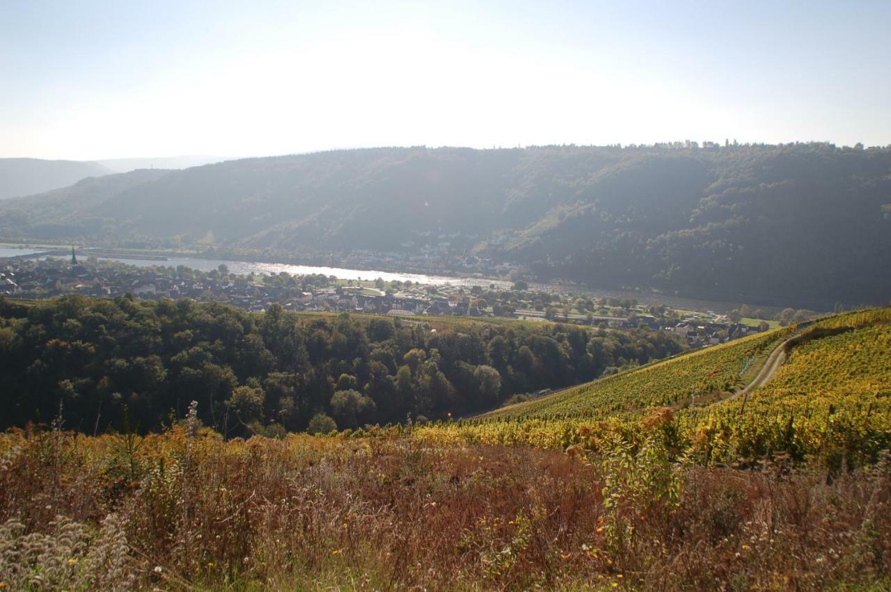 Weingut Stiftshof Hotell Enkirch Exteriör bild